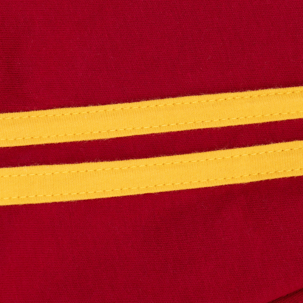 Harry Potter™ Gryffindor™ Youth Jersey T-Shirt