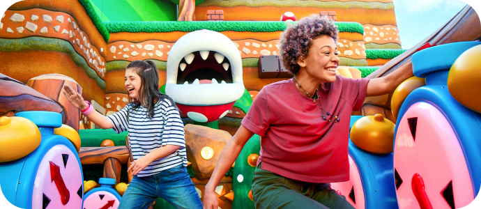 Super Nintendo World Collection Banner - Banner