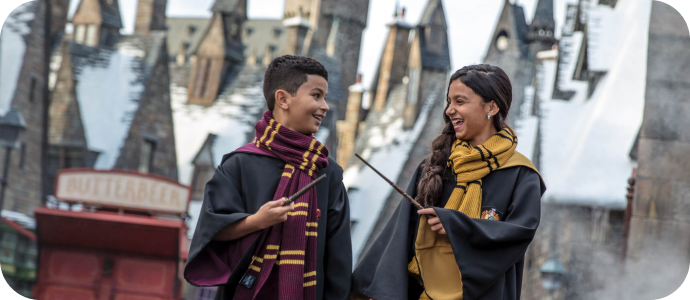 Harry Potter Collection Banner - Banner