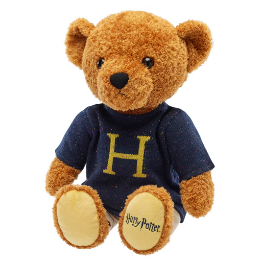 H For Harry Sweater Teddy Bear