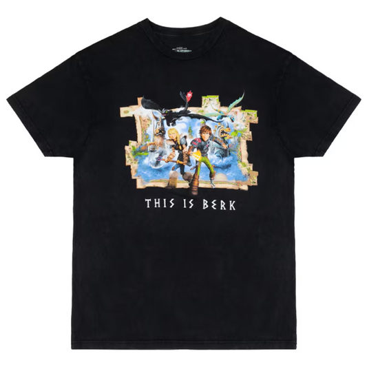 How To Train Your Dragon This is Berk Adult T-Shirt