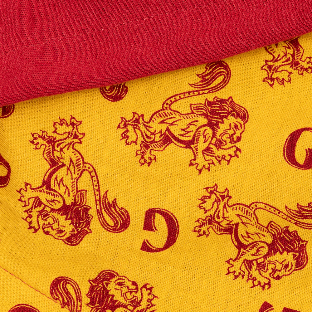 Harry Potter™ Youth Zip-Up Fleece Hoodie of Gryffindor™ Logo