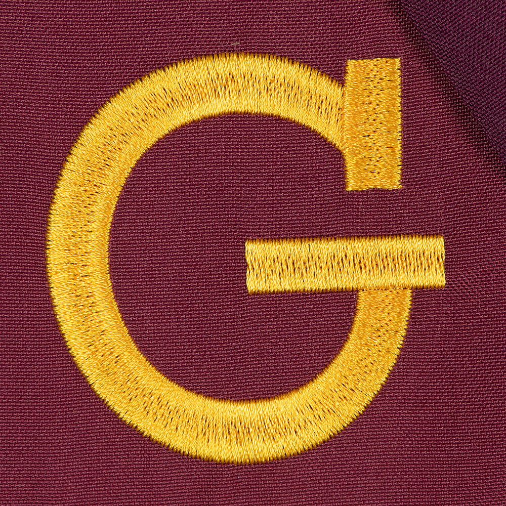Harry Potter™ Gryffindor™ House Sash