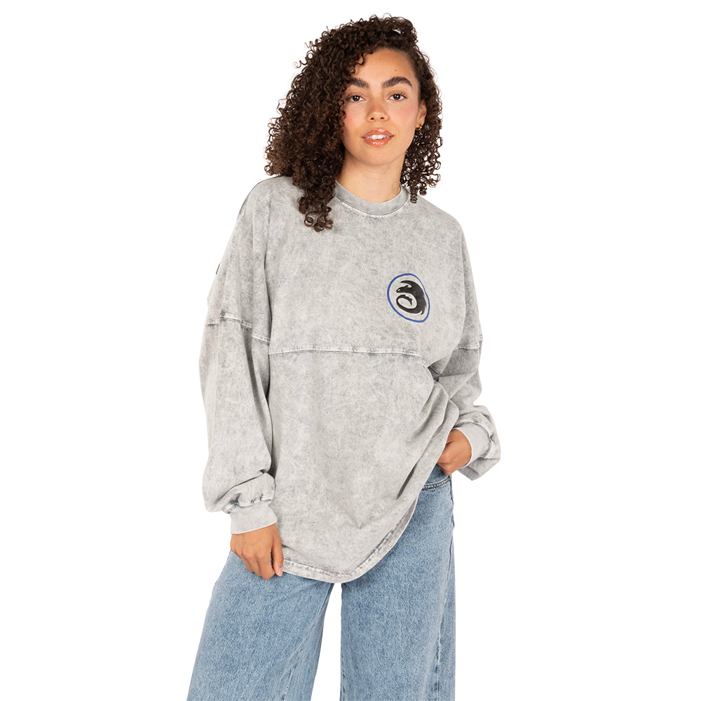 How to Train Your Dragon Fright & Fury Spirit Jersey