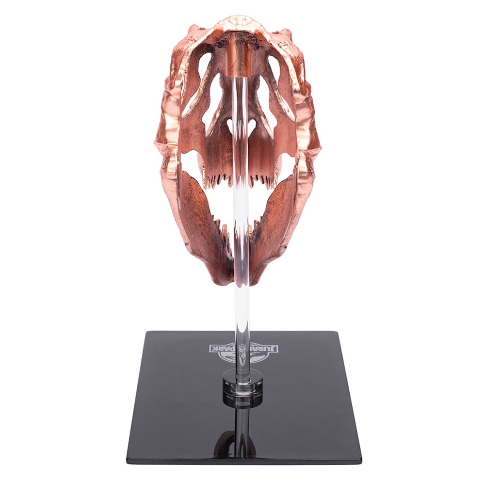 Jurassic Park T-Rex Skull Scaled Prop Replica-8