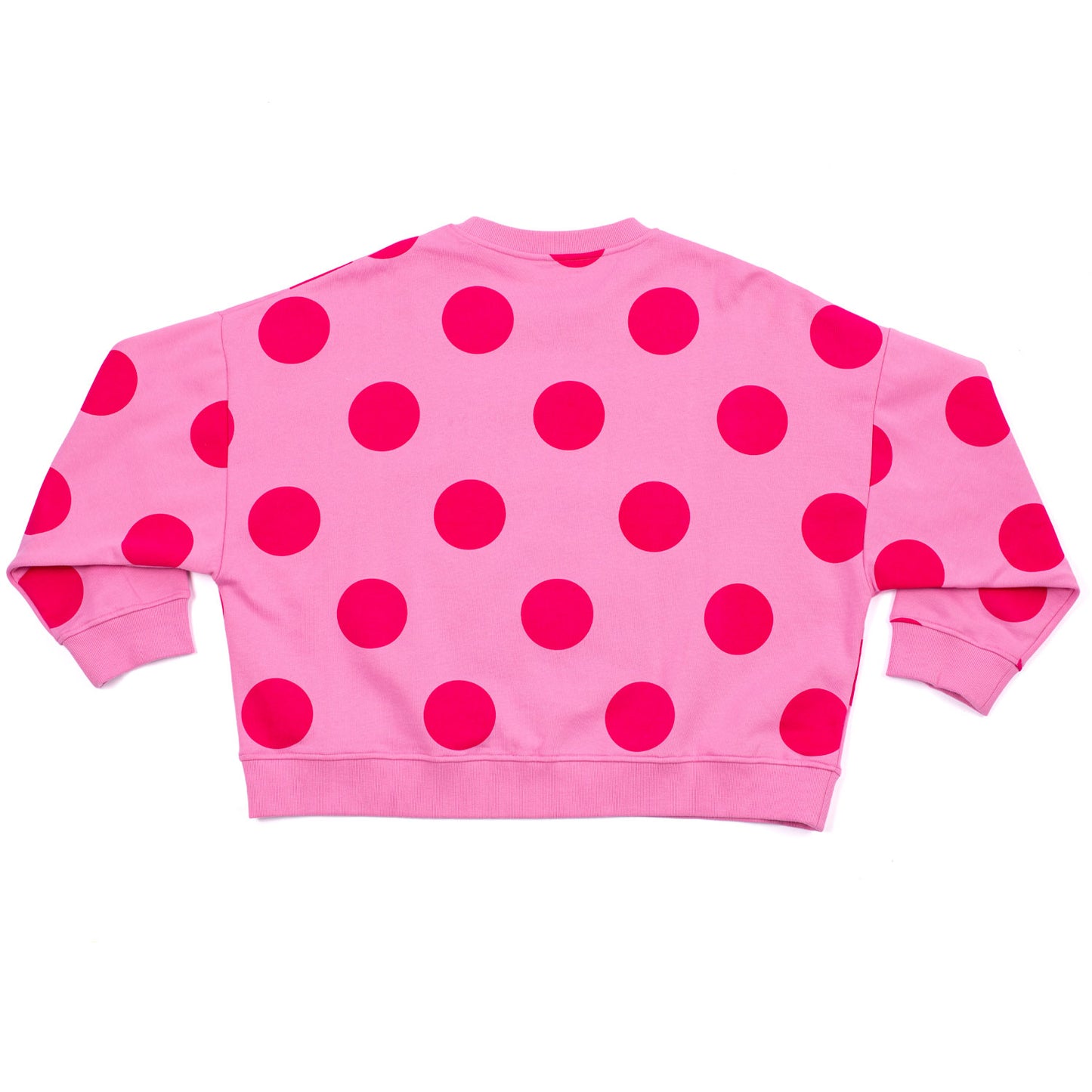 Despicable Me Sweater Featuring Fluffy-2