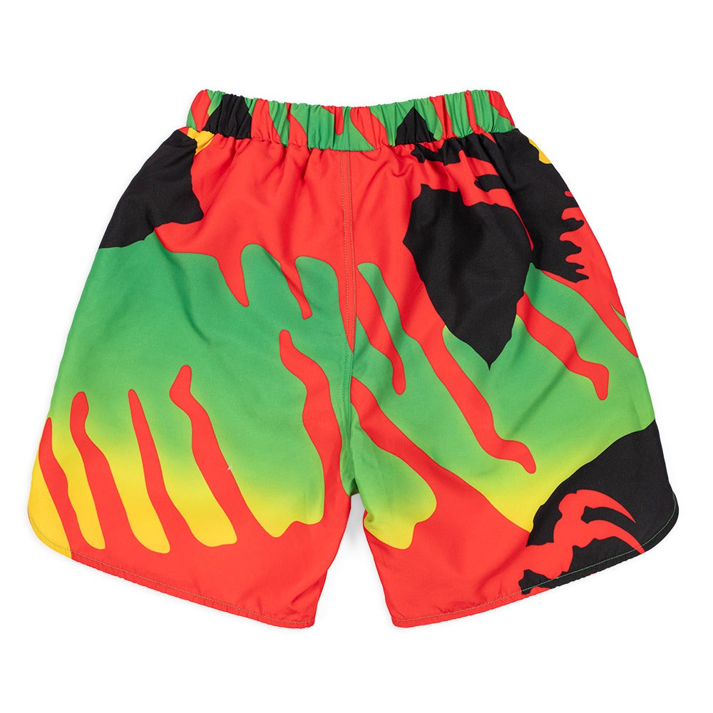 Jurassic Park Youth Swim Shorts-4