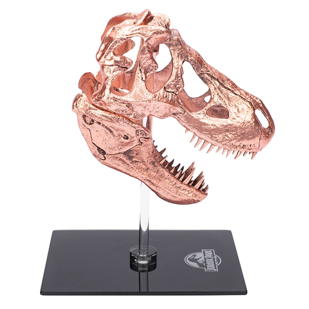 Jurassic Park T-Rex Skull Scaled Prop Replica-5