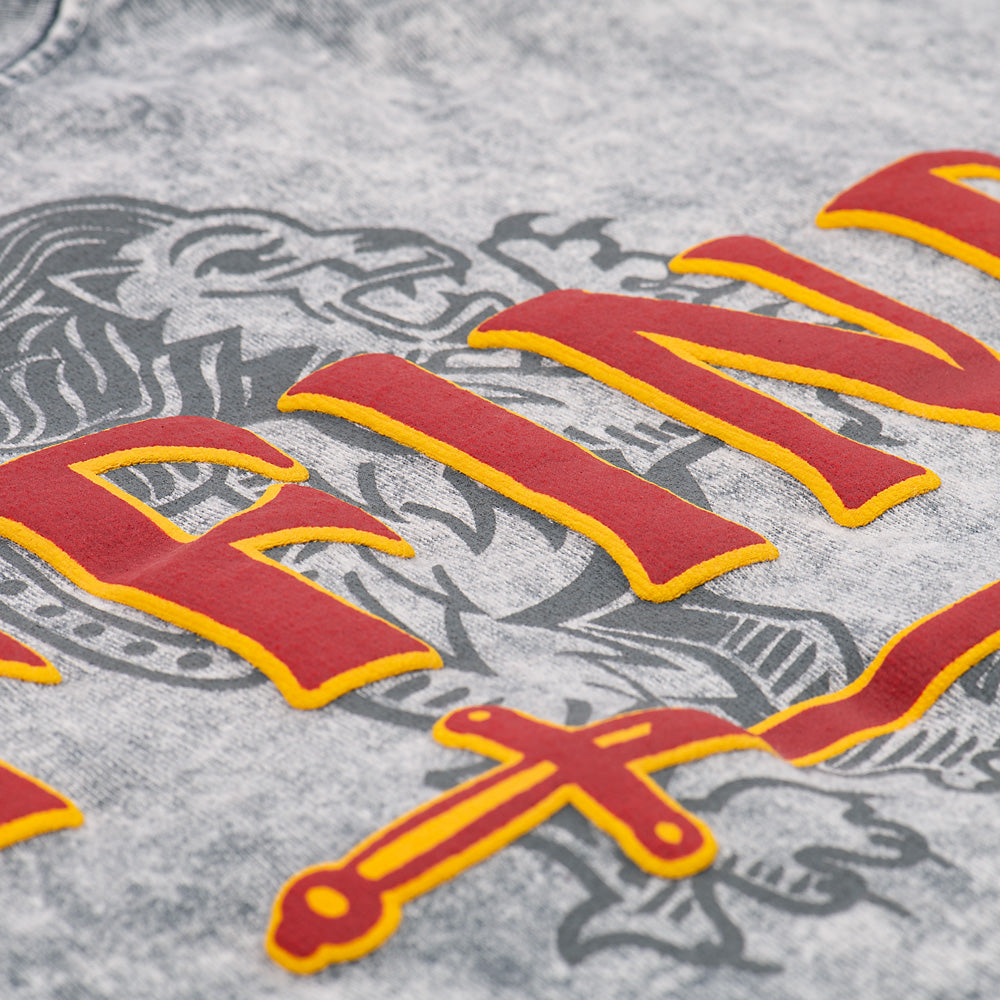 Harry Potter™ Gryffindor™ Spirit Jersey®