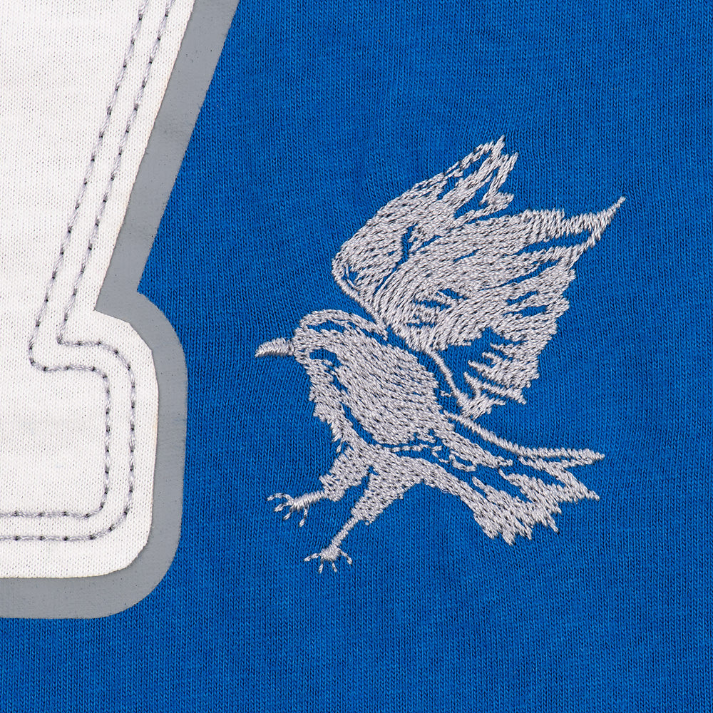 Harry Potter™ Ravenclaw™ Jersey T-Shirt