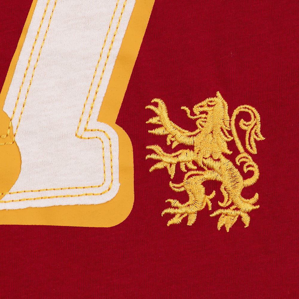 Harry Potter™ Gryffindor™ Youth Jersey T-Shirt