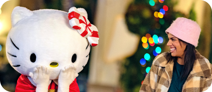 Hello Kitty Collection Banner - Banner