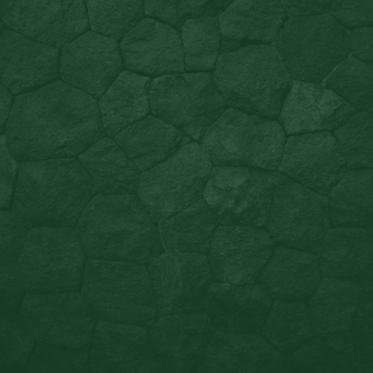Dark green textured paper background - click to shop Slytherin merch now!