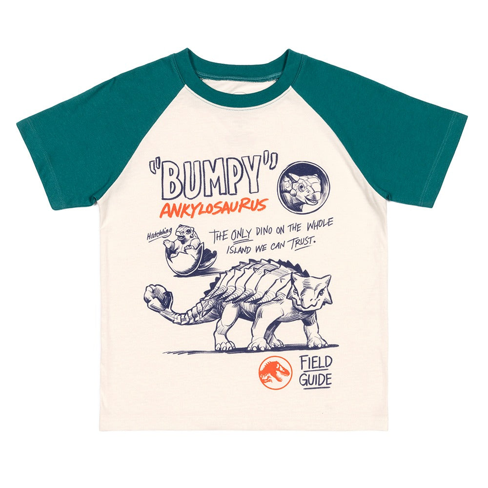 Jurassic World Bumpy Youth Raglan T-Shirt, Multi, Medium