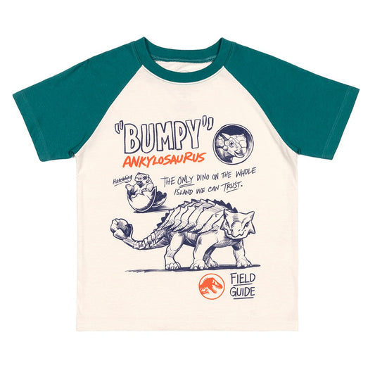 Jurassic World Bumpy Youth Raglan T-Shirt, Multi, Medium