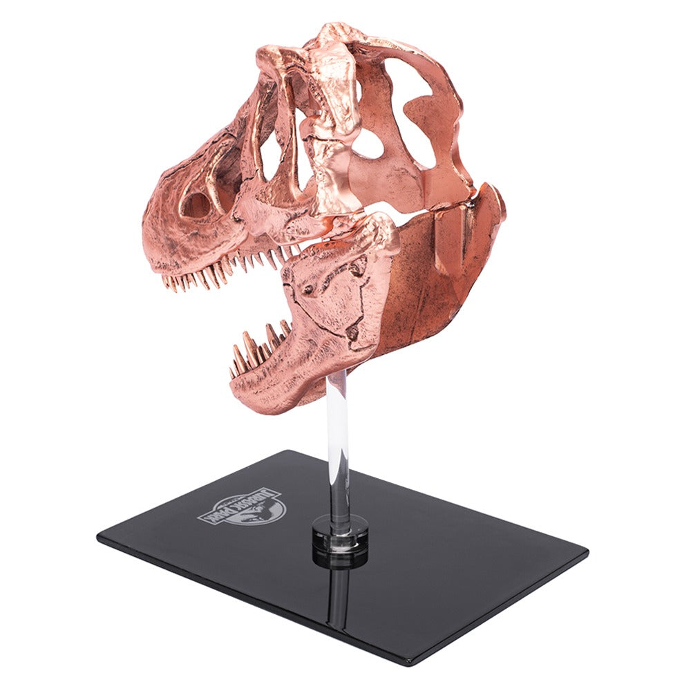 Jurassic Park T-Rex Skull Scaled Prop Replica-7
