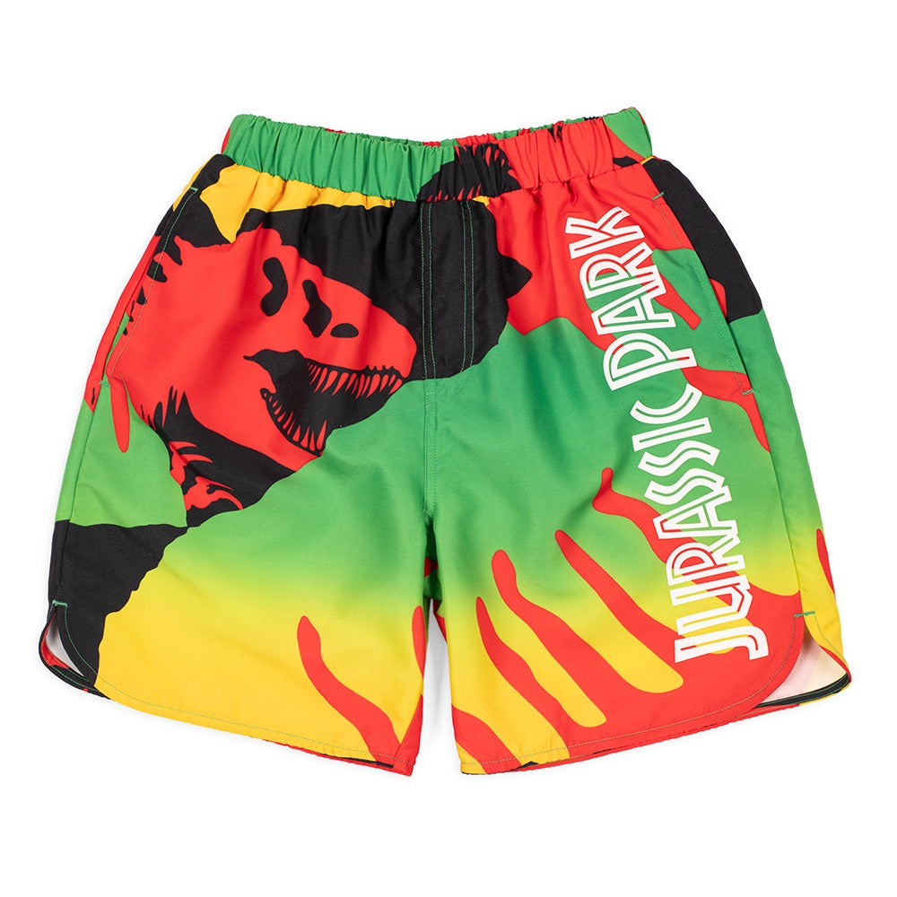 Jurassic Park Youth Swim Shorts, Multi, Large