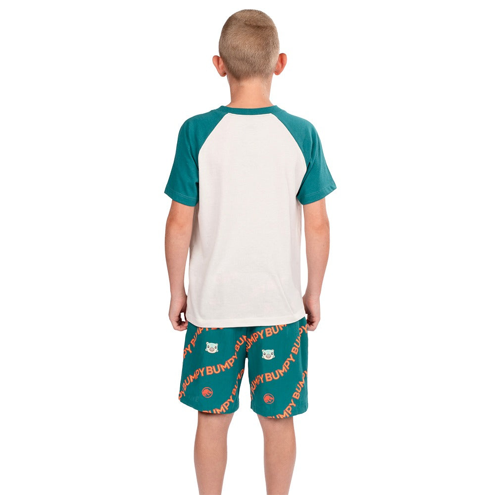 Jurassic World Bumpy Youth Raglan T-Shirt-5