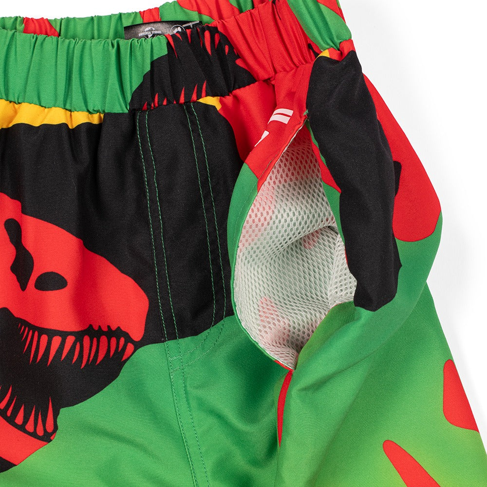 Jurassic Park Youth Swim Shorts-3